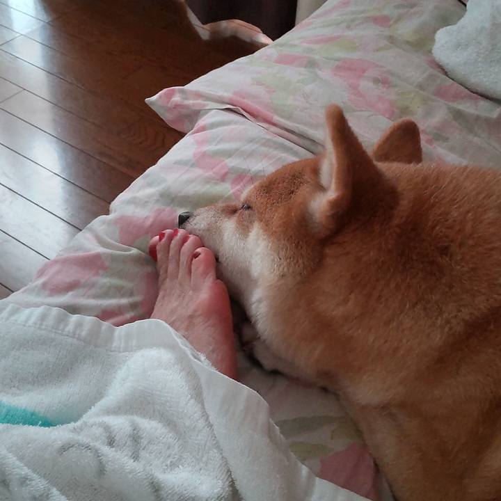 7b686038 2d43 4b65 aff0 7a1794355128 1758343469000