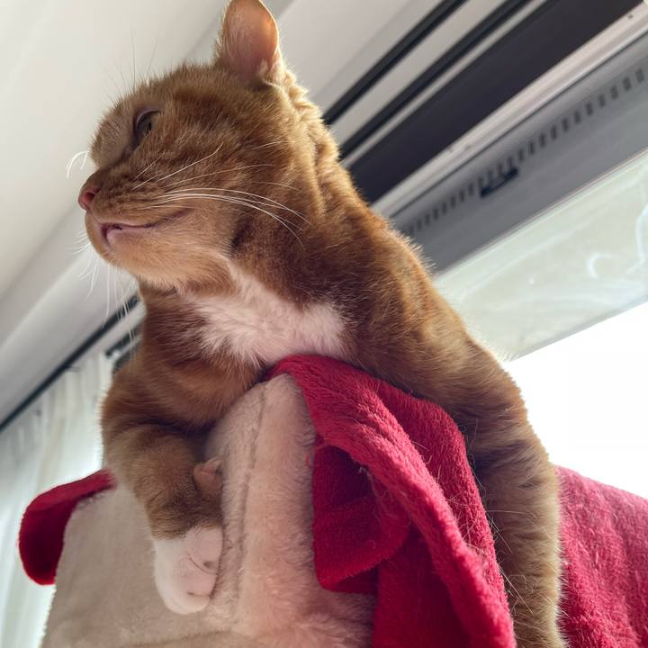 7b6884d5 a756 48fc 9099 8e8c3fbbdf70 1677376578919