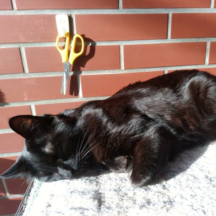 7b689f1b 13cd 44c3 aff9 2bbd740f5d47 1622469169767