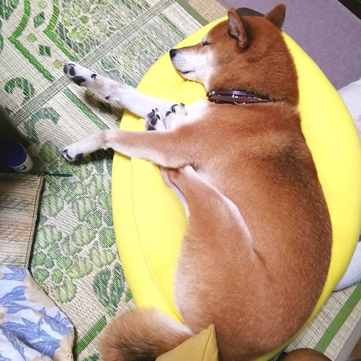 7b68bcb1 60c0 4ed2 9bfa 49ffcdfe87f3 1661333978280