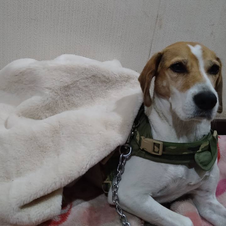 7b68c296 cf25 4058 b24e 20a556074098 1668488591719