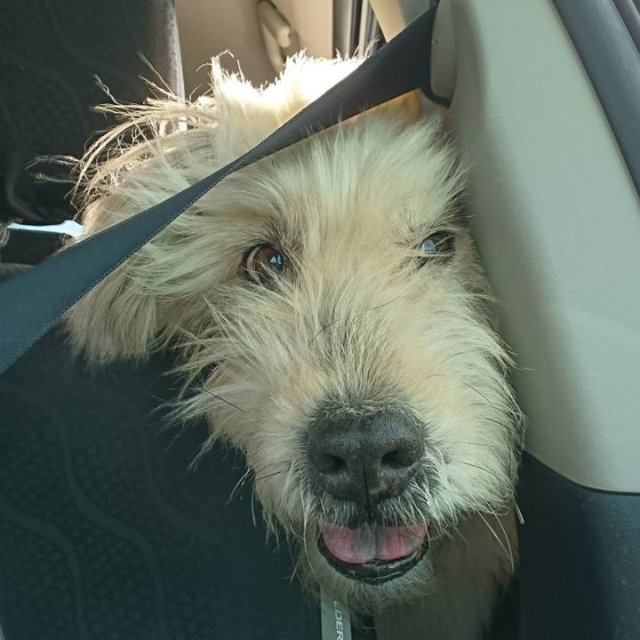 7b68c2da a564 41a1 a407 8d09d20a1203 1582269786377