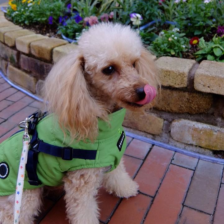 7b68e94f 9f5d 48a6 b94a 959bb3c50e8c 1515063545601