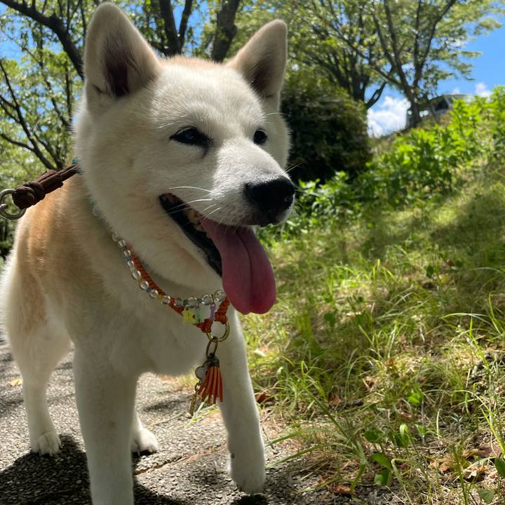 7b69031b 4083 4cb4 b787 10c5d61f3b8c 1691238816778