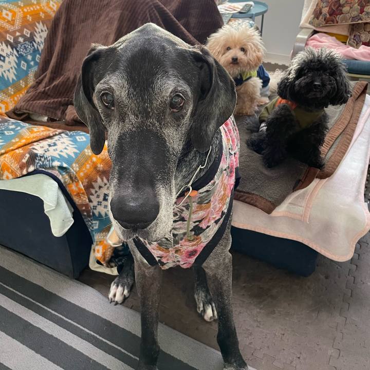 7b694295 06b6 4d51 8fb3 4370cf1ea220 1641249812086