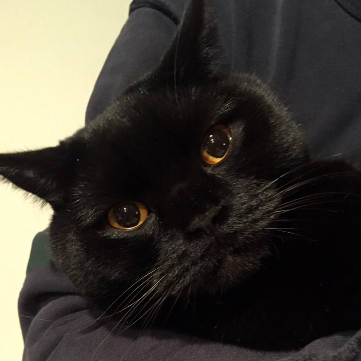 7b69500e d99f 4853 8956 91a0b540c72f 1578139190752