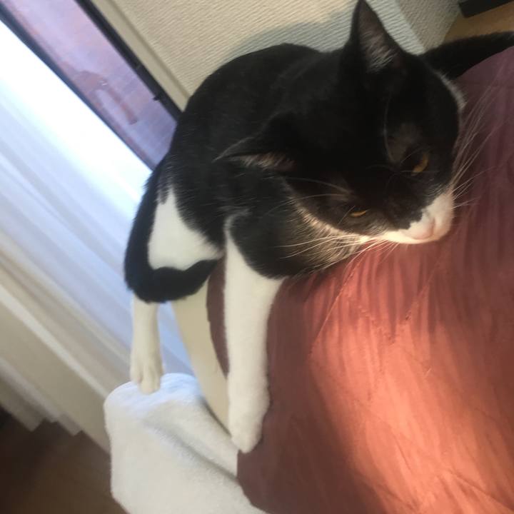 7b69684c 0d46 4e15 aca8 27a8d2d39351 1566476320044