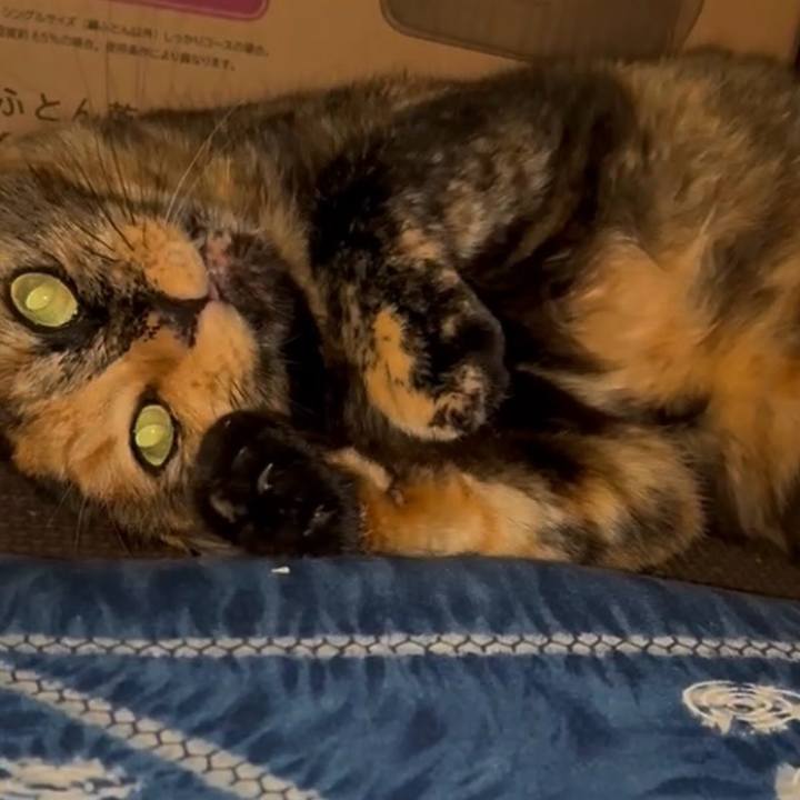 7b69712f 9d2f 454d ab8a dd323ac78830 1758832685812