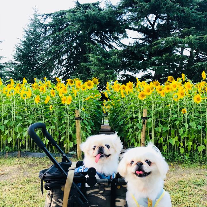 7b697a0b e5f8 4a14 a99c 2572d82fef5e 1597797935111