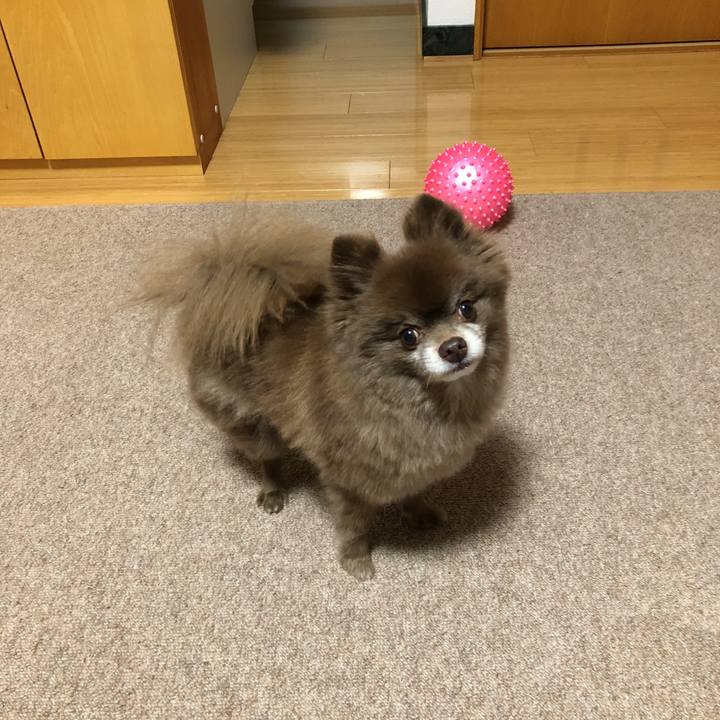 7b69e108 ec15 4519 a234 7a78f2365d1d 1578693755352