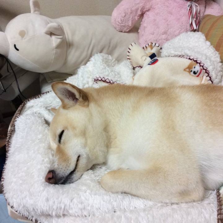 7b69e2a1 de3c 4cd4 a69a d11db0296917 1539348695907