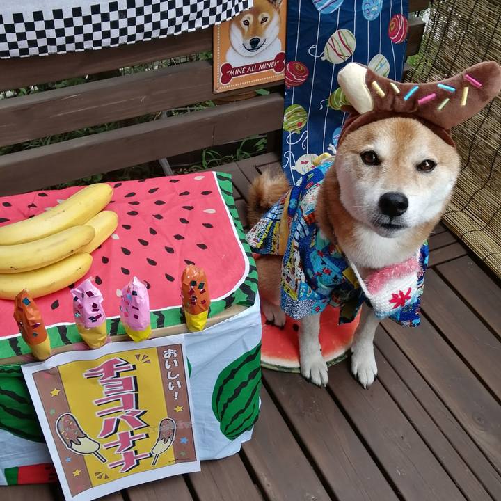 7b6a0661 5642 4bc0 b113 8c8308cdfc32 1661564411121