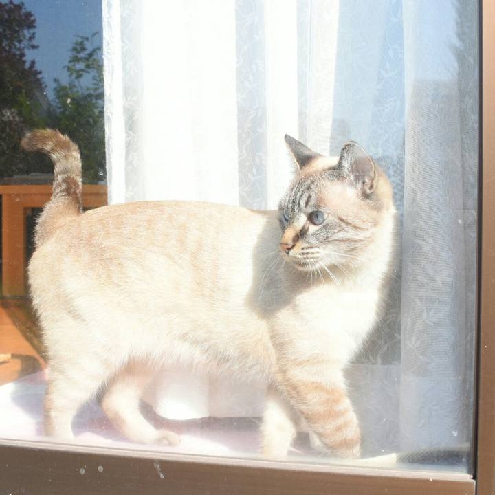 7b6a0b64 b986 48b4 be94 519e3cce8be4 1509504288973