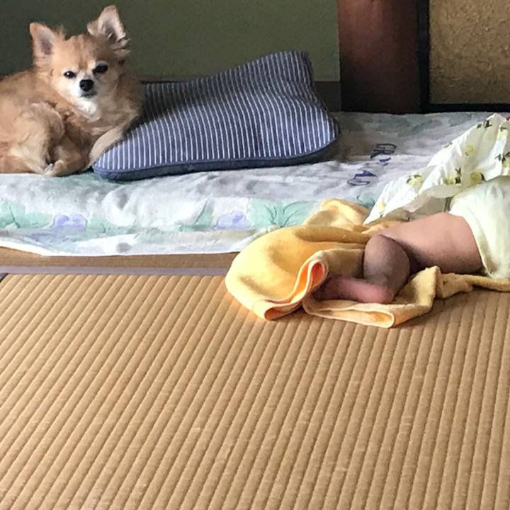 7b6a4d76 72ce 4078 9016 4163e4b35d90 1534903617791