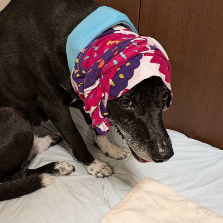 7b6a615b 45e0 4a68 99ac f50de3eac3ec 1724062719466