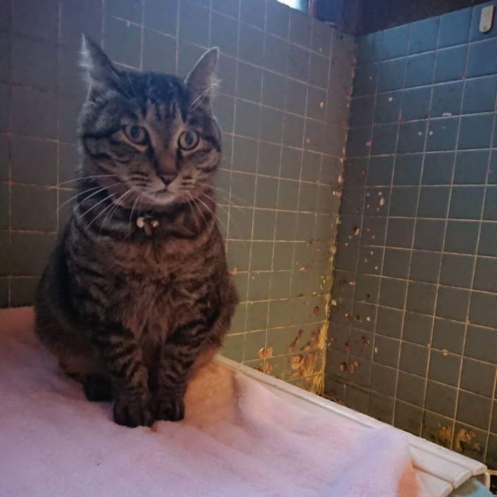 7b6a8870 2f98 4bda a450 5c9d4cff58f5 1650014968063