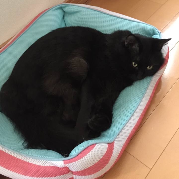 7b6aa603 f5b8 44d1 8db1 5eab7f54eb1d 1510457190285