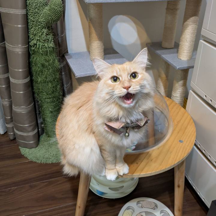 7b6abb08 e591 4048 9635 6a113705012a 1735251768973