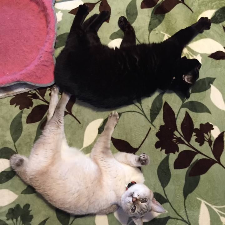 7b6abd3b 5ee7 4873 84e9 16b827f5f286 1584788741165