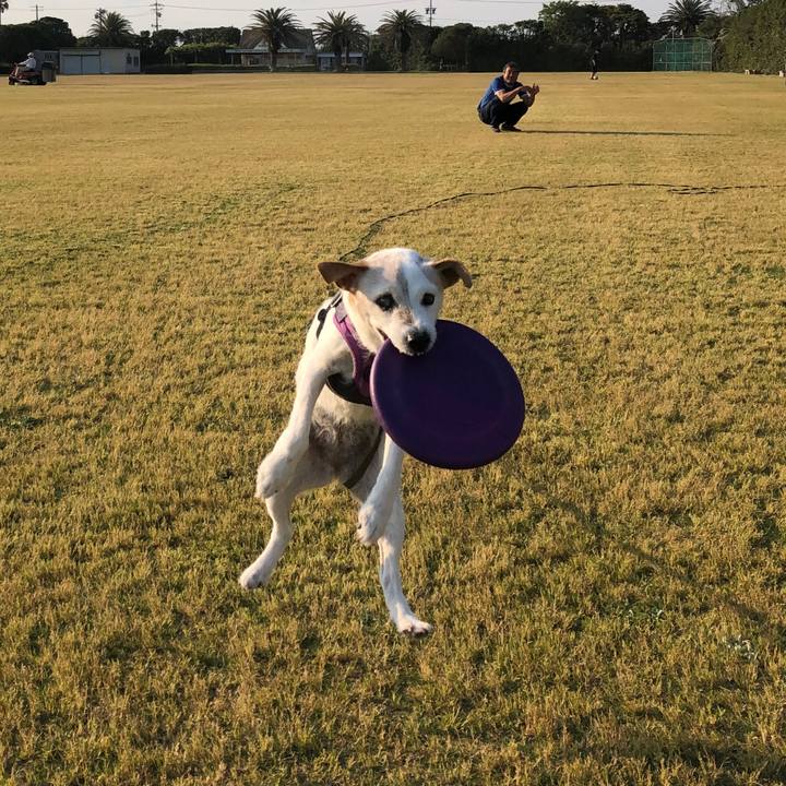 7b6ad53e c641 4b90 bf4b 6ef0b253e78d 1557567673662