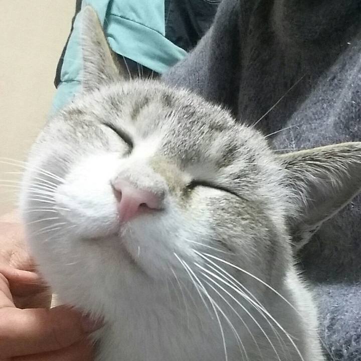 7b6ae00c a99b 46f4 8569 a1d673586493 1516376494153