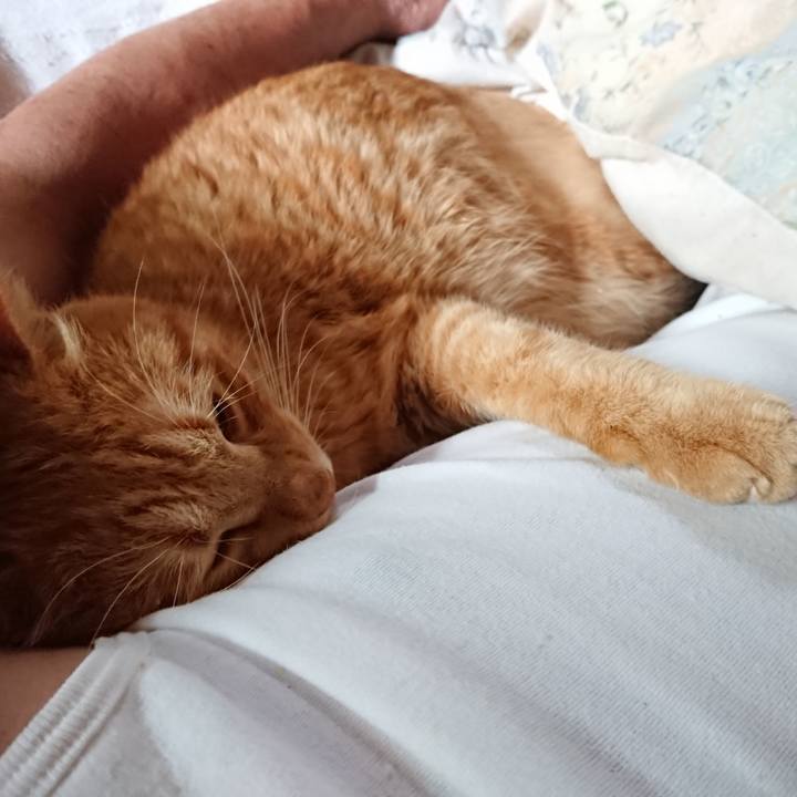 7b6b037b 6c25 4c57 8774 4ed77fc0ec80 1657950025190