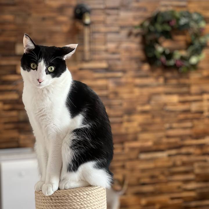 7b6b3c5d f492 48c3 a656 14f0b2660036 1701399170062