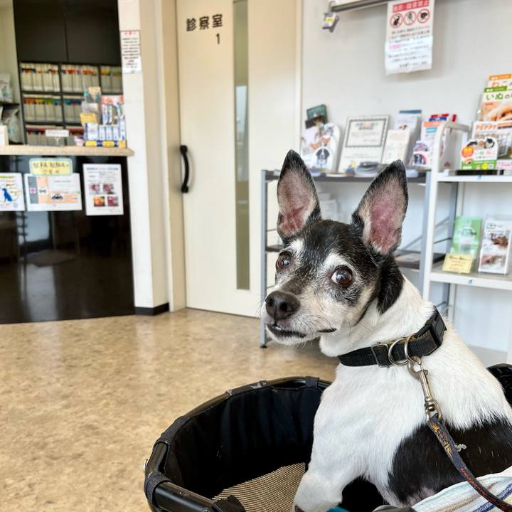 7b6b4399 0bed 4205 82a4 340d227da0cf 1654913098411