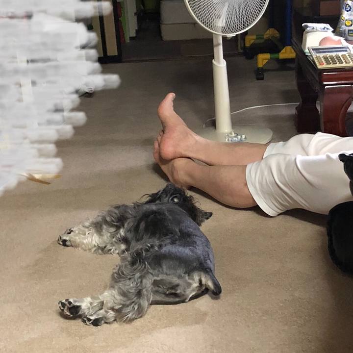 7b6b505a 688f 4a61 a4ef 0ce1aa04e9cf 1625140013141