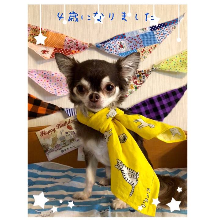 7b6b837b 8785 4cb2 9ce1 9eab5a0257bd 1531693811183