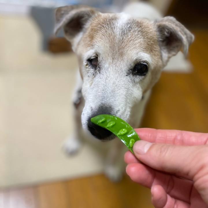 7b6bf8fc b374 4be5 8e3e 4bfe1adaf58f 1713615415700