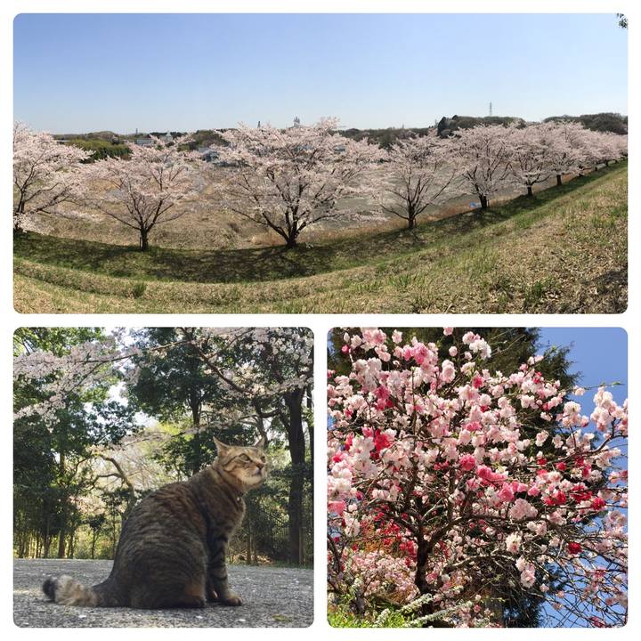 7b6c1470 3b28 4b85 926d be35576aacbc 1522480564671