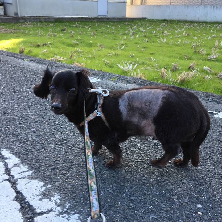 7b6c1b2c 6731 4132 b91c 2cbdeba5eedb 1547342253298