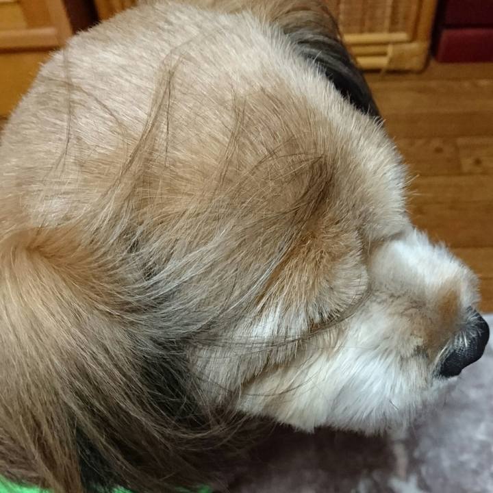 7b6c3afc 54b2 474e b84e 101ccd4adff3 1513068465241