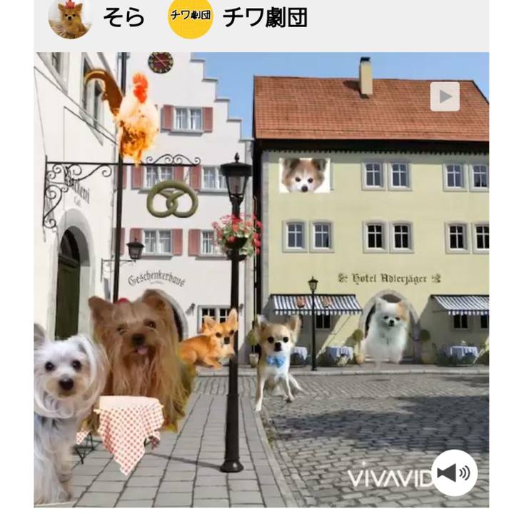 7b6c6947 5528 4313 9e26 6df8465ee451 1597576666299