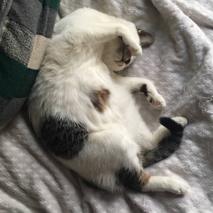 7b6c8598 3a78 48d6 b8ea bdaed1f1462f 1523089746856