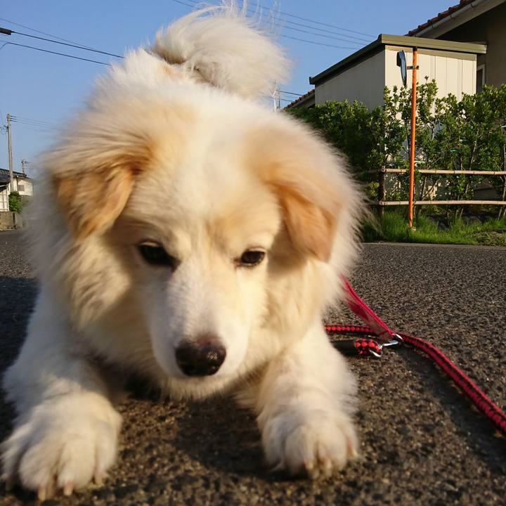 7b6cc4c4 ec3d 49f3 8551 7ce36b7db042 1528020230656