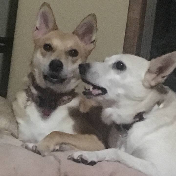 7b6cf03a ab31 4cea aba9 ed3931cc2762 1537031462882