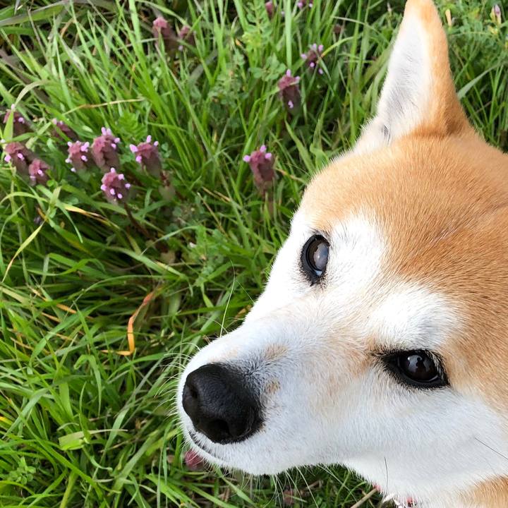 7b6d2566 8949 48dd a28c 344d613bf8fe 1553733752570