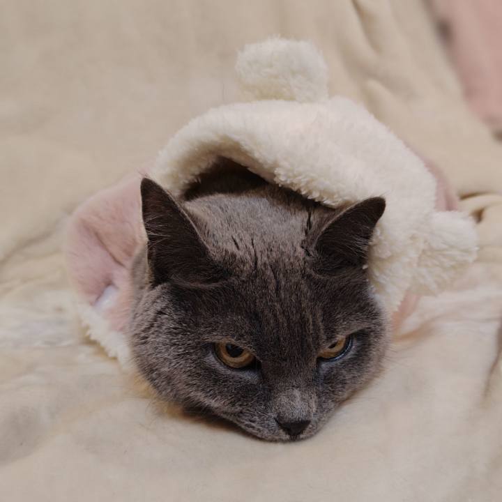 7b6d266c 5f26 4df1 b94a 3c9ee6fbe80a 1770526401984