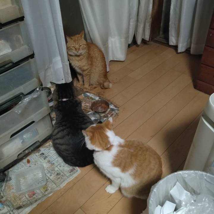 7b6d2bfb 3e85 4e60 a5b1 5df14ed757bd 1761893544013