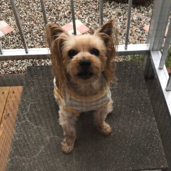 7b6d39b3 303b 479c 9dbe 65a75a31775e 1561704751557