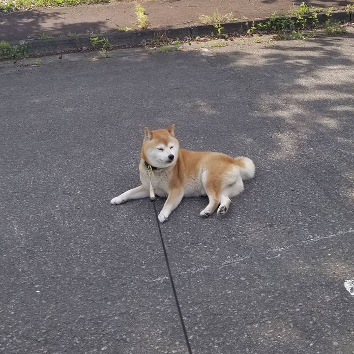 7b6d3df2 e2b3 45b7 9a5b 021c38a36d89 1653979092028