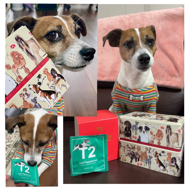 7b6d5284 ebf5 4763 8f2b 411b9cfcf706 1741765760843