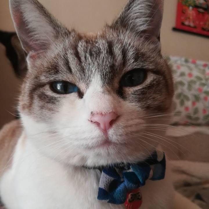 7b6da966 428b 4290 ab8d 5eded8d8e433 1609132479033