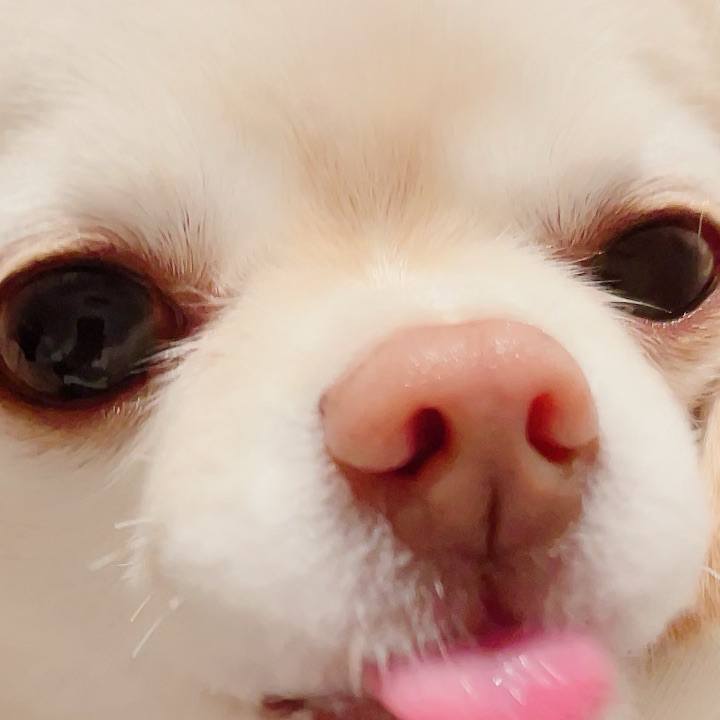 7b6dcdf8 8dca 4e7e af3d 75b99a7a37c0 1707531873702