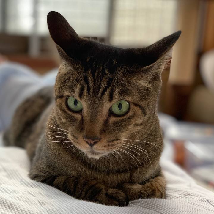 7b6e395a 3558 4973 a00a eedbd608c7b8 1560817808890