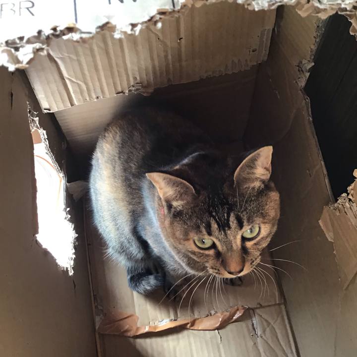 7b6e41ac a04e 4642 b28f 7d08f7370c1a 1642308168243