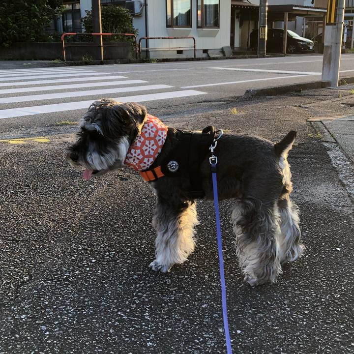 7b6e54f2 c6b3 4882 9955 f8a9288412cd 1689504443480