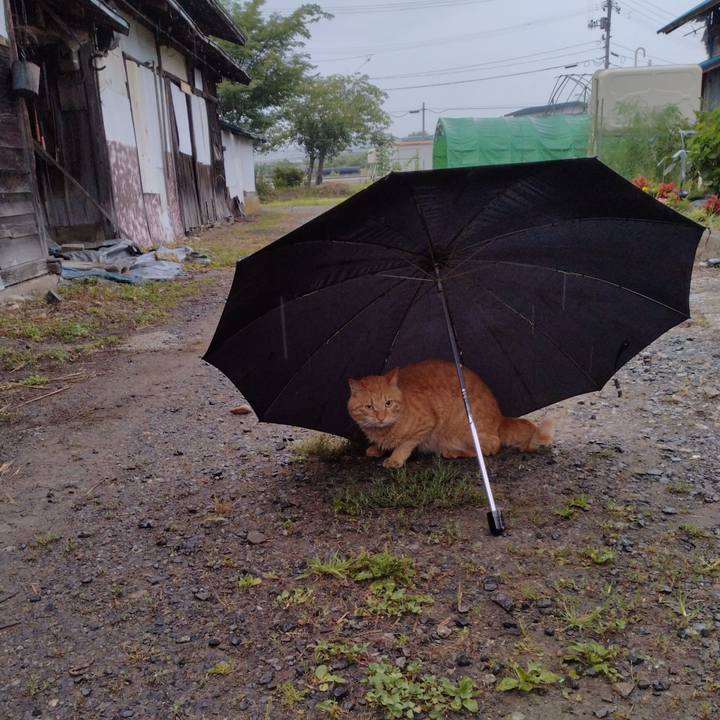 7b6e791f 8e01 46da a3d5 f645db508a25 1689720861616